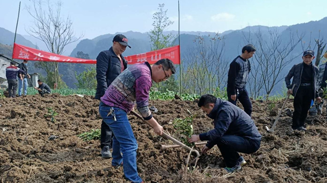 沙市鎮(zhèn)開展“我為祖國植10棵樹”活動