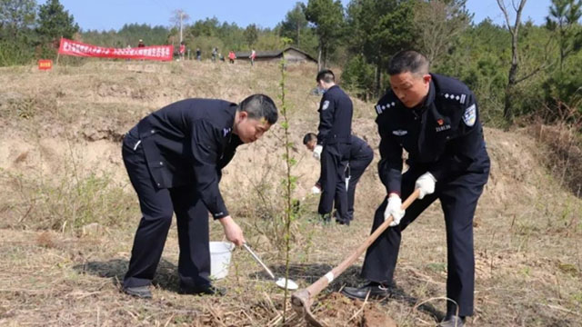 云陽公安組織開展義務植樹活動