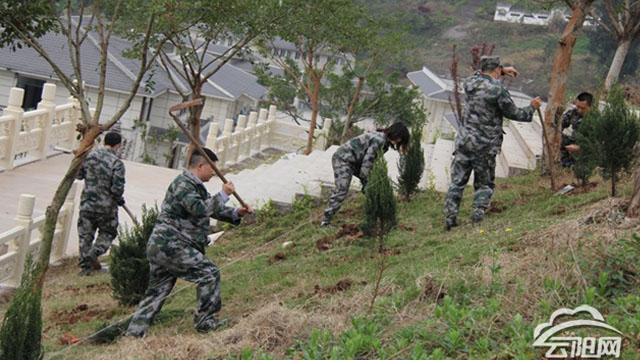 縣退役軍人事務局開展“我為祖國植10棵樹”活動